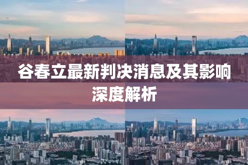 谷春立最新判決消息及其影響深度解析