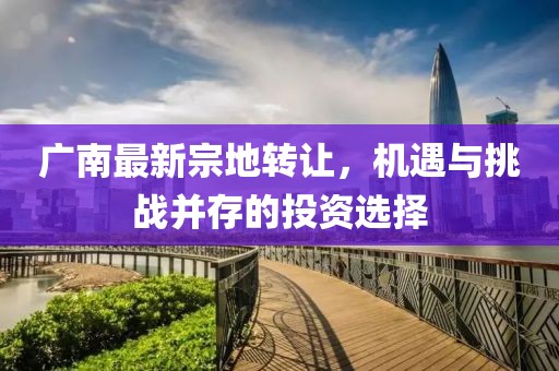 廣南最新宗地轉(zhuǎn)讓?zhuān)瑱C(jī)遇與挑戰(zhàn)并存的投資選擇