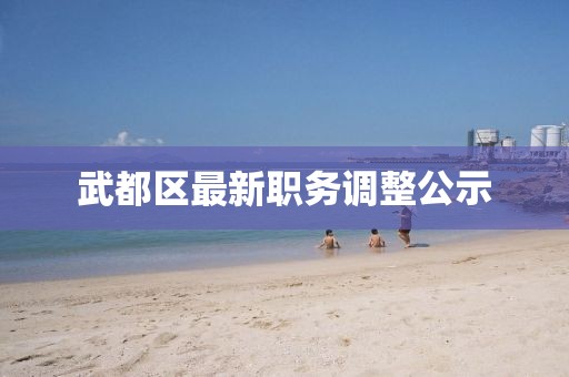 武都區(qū)最新職務(wù)調(diào)整公示