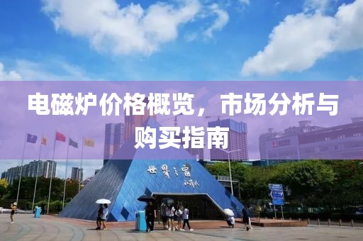 電磁爐價格概覽，市場分析與購買指南