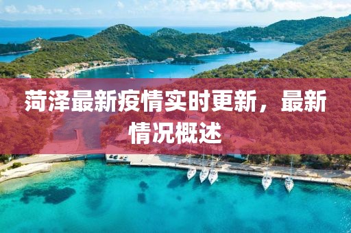 菏澤最新疫情實(shí)時(shí)更新，最新情況概述