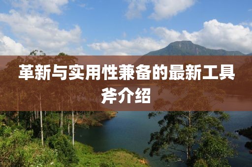 革新與實用性兼?zhèn)涞淖钚鹿ぞ吒榻B