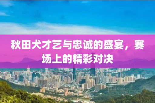 秋田犬才藝與忠誠(chéng)的盛宴，賽場(chǎng)上的精彩對(duì)決