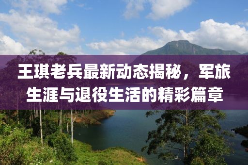 王琪老兵最新動(dòng)態(tài)揭秘，軍旅生涯與退役生活的精彩篇章