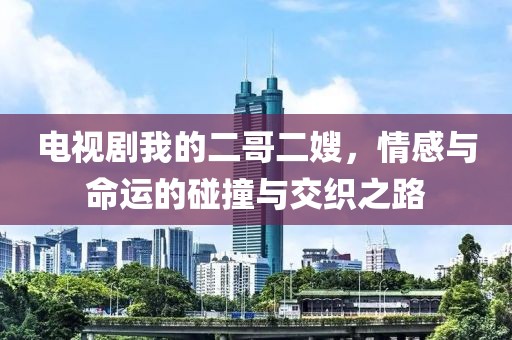 電視劇我的二哥二嫂，情感與命運的碰撞與交織之路