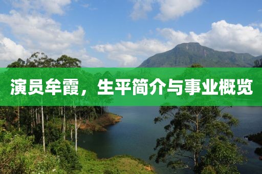 2025年4月 第322頁