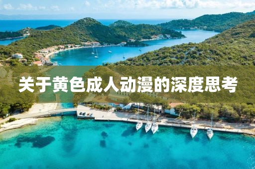 關(guān)于黃色成人動漫的深度思考