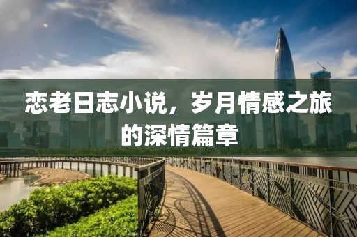 戀老日志小說(shuō)，歲月情感之旅的深情篇章