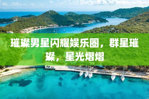 璀璨男星閃耀娛樂圈，群星璀璨，星光熠熠