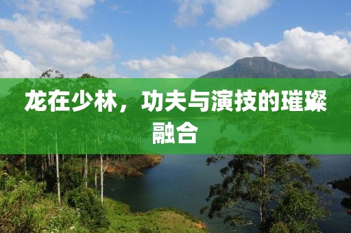 龍在少林，功夫與演技的璀璨融合