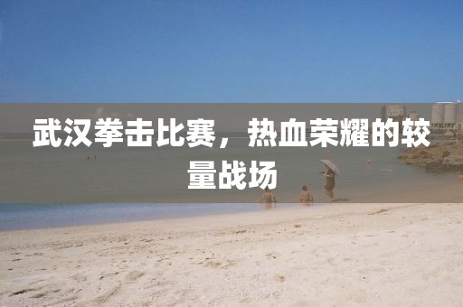 武漢拳擊比賽，熱血榮耀的較量戰(zhàn)場