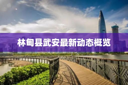 林甸縣武安最新動態(tài)概覽