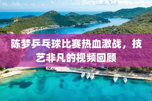 陳夢乒乓球比賽熱血激戰(zhàn)，技藝非凡的視頻回顧