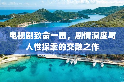 電視劇致命一擊，劇情深度與人性探索的交融之作
