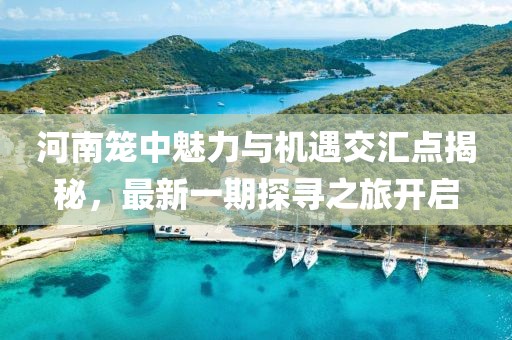 河南籠中魅力與機(jī)遇交匯點(diǎn)揭秘，最新一期探尋之旅開(kāi)啟