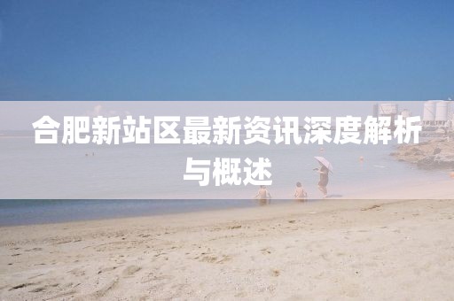 合肥新站區(qū)最新資訊深度解析與概述