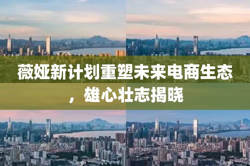 薇婭新計(jì)劃重塑未來電商生態(tài)，雄心壯志揭曉