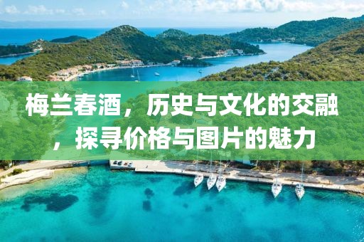 梅蘭春酒，歷史與文化的交融，探尋價(jià)格與圖片的魅力