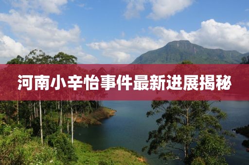 河南小辛怡事件最新進展揭秘