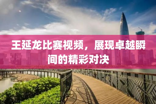 王延龍比賽視頻，展現(xiàn)卓越瞬間的精彩對決