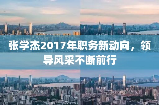 張學杰2017年職務新動向，領導風采不斷前行