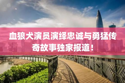 2025年5月 第260頁