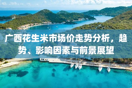 廣西花生米市場價走勢分析，趨勢、影響因素與前景展望