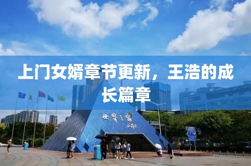 上門女婿章節(jié)更新，王浩的成長篇章