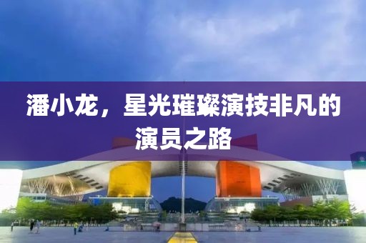 潘小龍，星光璀璨演技非凡的演員之路