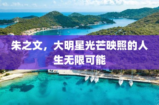 朱之文，大明星光芒映照的人生無限可能