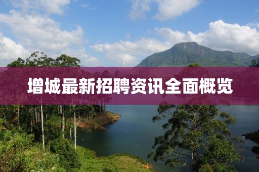增城最新招聘資訊全面概覽