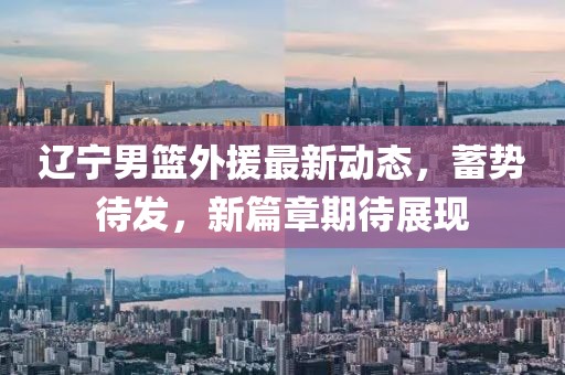 遼寧男籃外援最新動態(tài)，蓄勢待發(fā)，新篇章期待展現(xiàn)
