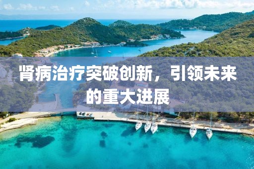 腎病治療突破創(chuàng)新，引領(lǐng)未來的重大進(jìn)展