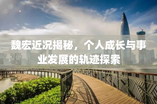 魏宏近況揭秘，個人成長與事業(yè)發(fā)展的軌跡探索