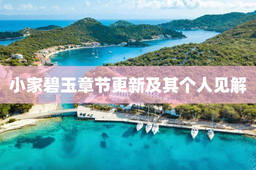 小家碧玉章節(jié)更新及其個(gè)人見(jiàn)解