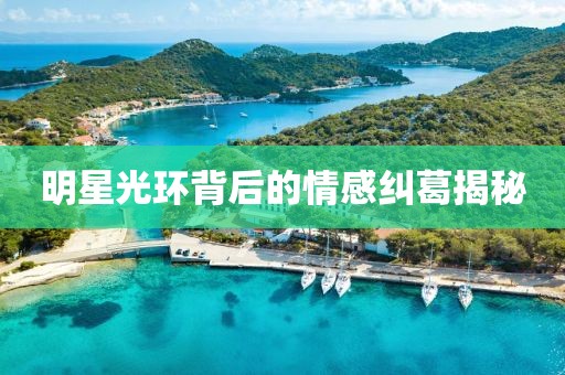 明星光環(huán)背后的情感糾葛揭秘