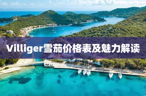 Villiger雪茄價(jià)格表及魅力解讀