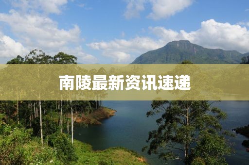 南陵最新資訊速遞