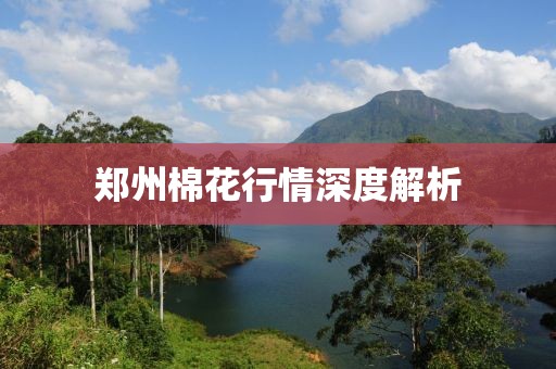 鄭州棉花行情深度解析