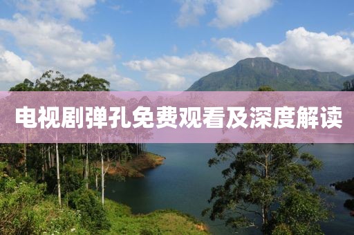 電視劇彈孔免費(fèi)觀看及深度解讀