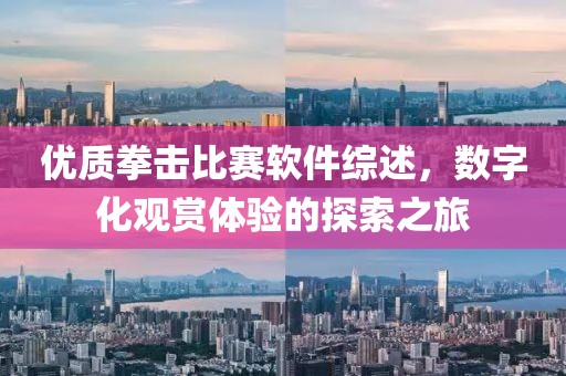 優(yōu)質(zhì)拳擊比賽軟件綜述，數(shù)字化觀賞體驗(yàn)的探索之旅