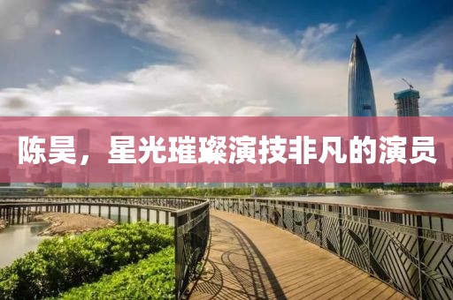 陳昊，星光璀璨演技非凡的演員