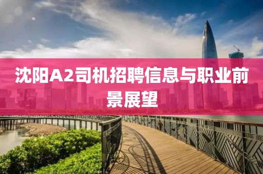 沈陽A2司機招聘信息與職業(yè)前景展望