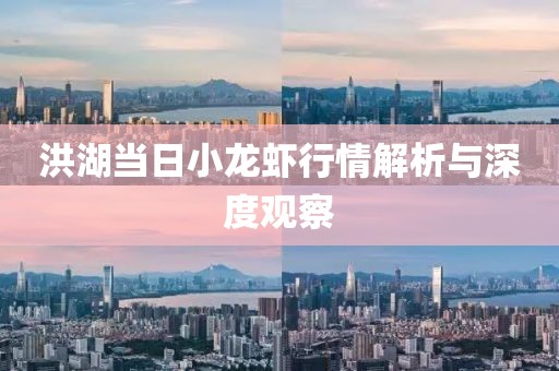 洪湖當(dāng)日小龍蝦行情解析與深度觀察