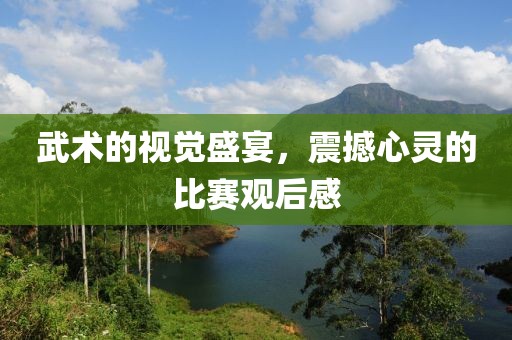 武術(shù)的視覺盛宴，震撼心靈的比賽觀后感