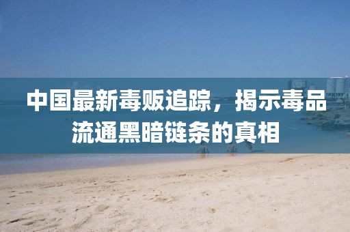 中國(guó)最新毒販追蹤，揭示毒品流通黑暗鏈條的真相