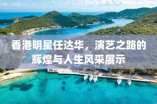 香港明星任達(dá)華，演藝之路的輝煌與人生風(fēng)采展示