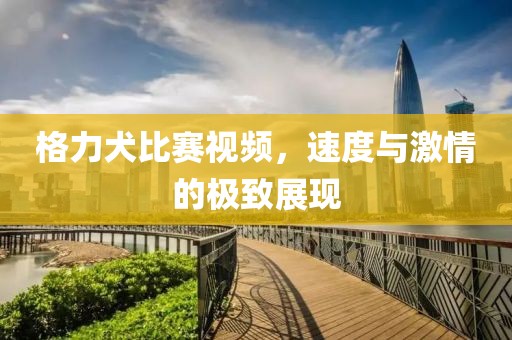 格力犬比賽視頻，速度與激情的極致展現(xiàn)