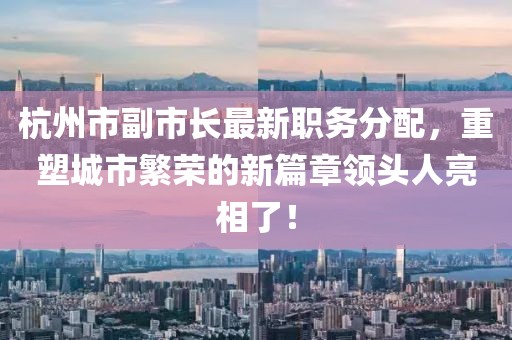 杭州市副市長最新職務(wù)分配，重塑城市繁榮的新篇章領(lǐng)頭人亮相了！