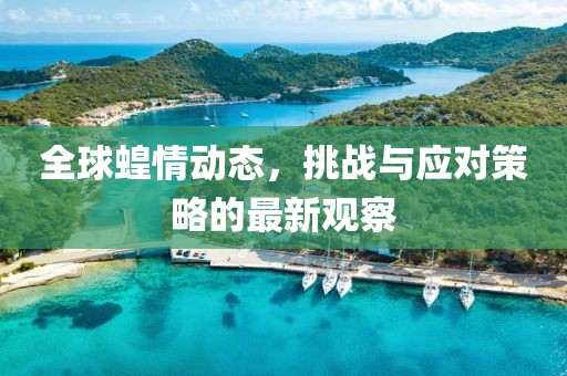 全球蝗情動(dòng)態(tài)，挑戰(zhàn)與應(yīng)對(duì)策略的最新觀察